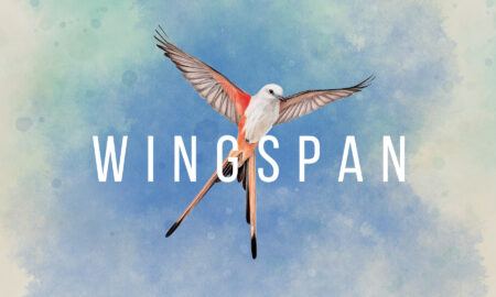 Wingspan Free PC Download
