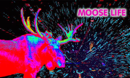 Moose Life Free PC Download