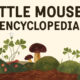 Little Mouse's Encyclopedia Free PC Download