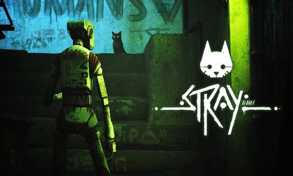stray video game