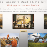 Best Ducking Stamps .com (September 2021) Authentic Details!
