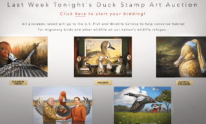 Best Ducking Stamps .com (September 2021) Authentic Details!