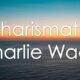 Charismatic Charlie Wade Chapter 3605 (February) Read Updates