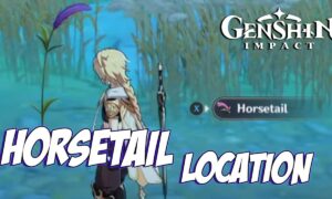 Horsetail Genshin Location (September) Know The Exciting Details!