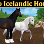 Sso Icelandic Horse (September 2021) Know The Exciting Details!