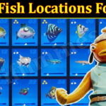 Tuna Fish Locations Fortnite (September) Know The Exciting Details!