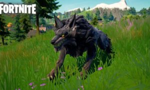 Fortnite Wolf Spawn Locations (September 2021) Know The Exciting Details!