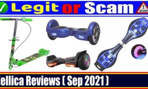 Zellica Store Reviews (September 2021) Legit Or Scam?