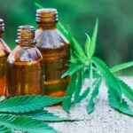CBD and Its Use for the Health