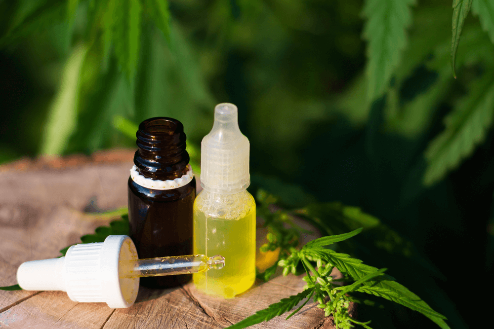 What Is CBD Oil Tincture & Should You Try It?