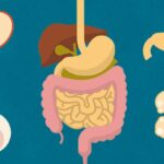 5 Tips for Better Digestive Health