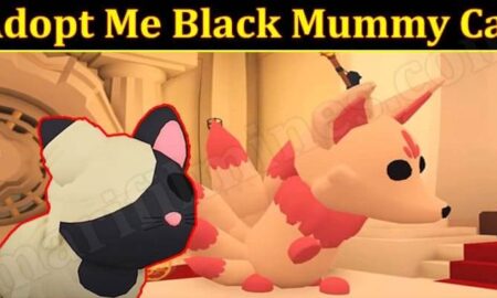 Adopt Me Black Mummy Cat (November 2021) Know The Gameplay!