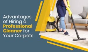 Advantages Of Hiring Professional Carpet Cleaning Services