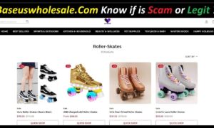 Baseus Wholesale Reviews (November 2021) Know The Authentic Reviews!