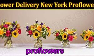 Flower Delivery New York Proflowers (November 2021) Know The Complete Details!