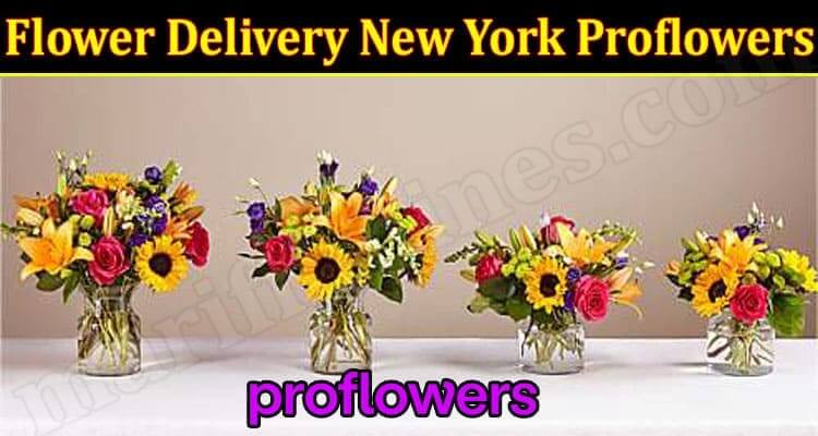 Flower Delivery New York Proflowers (November 2021) Know The Complete Details!