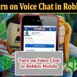 How To Turn On Voice Chat In Roblox 2021 (November) Know The Exciting Details!