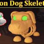 Neon Dog Skeleton (November 2021) Know The Exciting Details!