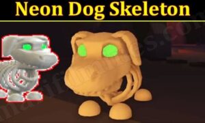 Neon Dog Skeleton (November 2021) Know The Exciting Details!