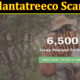 Plant A Tree Co Scam (November 2021) Know The Fact Behind It!