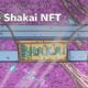 Shakai NFT (November 2021) Know The Exciting Details!