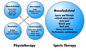 What Is The Difference Between Sports Therapy And Physiotherapy?