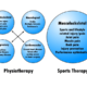 What Is The Difference Between Sports Therapy And Physiotherapy?