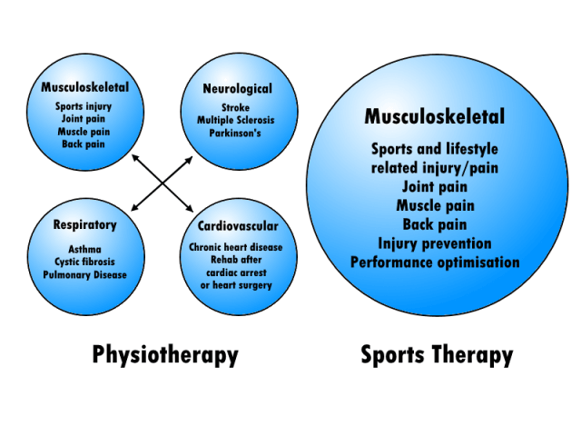 What Is The Difference Between Sports Therapy And Physiotherapy?