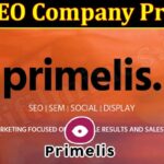 Best SEO Company Primelis (December 2021) Know The Authentic Details!