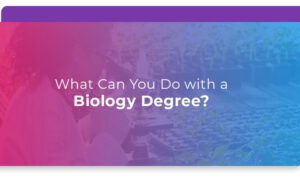 What Can You Do With A Biology Degree