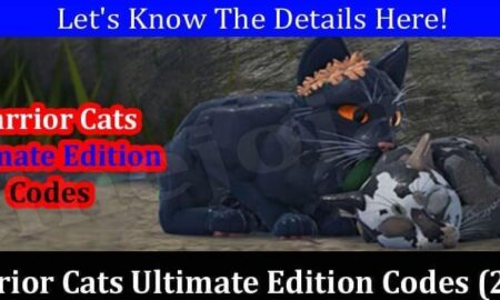 Warrior Cats Ultimate Edition Codes (December 2021) Know The Complete Details!