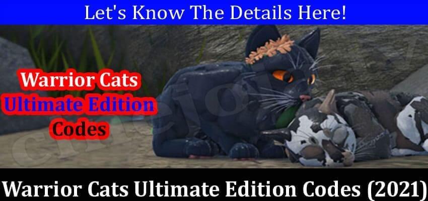 Warrior Cats Ultimate Edition Codes (December 2021) Know The Complete Details!