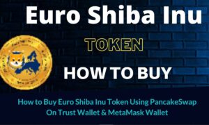 Euro Shiba Inu Where to Buy (December 2021) Get Details Here!