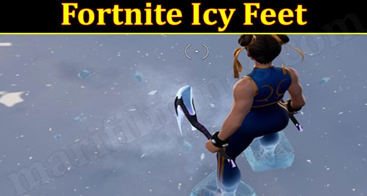 Fortnite Icy Feet (December 2021) Know The Exciting Details!