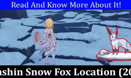 Genshin Snow Fox Location (December 2021) Know The Exact Place!