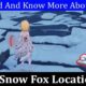 Genshin Snow Fox Location (December 2021) Know The Exact Place!