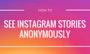 How to View InstaStories Anonymously – Choosing Best Instagram Story Viewer for Android, iOS, PC