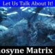 Mnemosyne Matrix (December 2021) Know The Exciting Details!