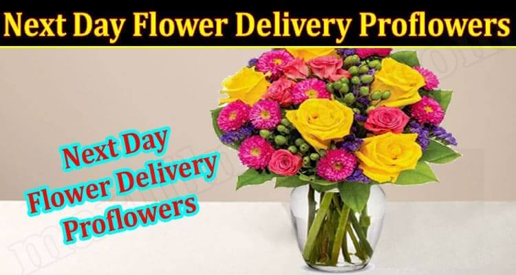 Next Day Flower Delivery Proflowers (December 2021) Know The Exciting Details!