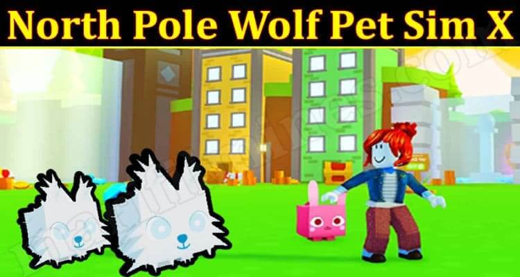 North Pole Wolf Pet Sim X (December 2021) Know The Complete Details!