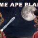 Prime Ape Planet NFT (December 2021) Know The Exciting Details!