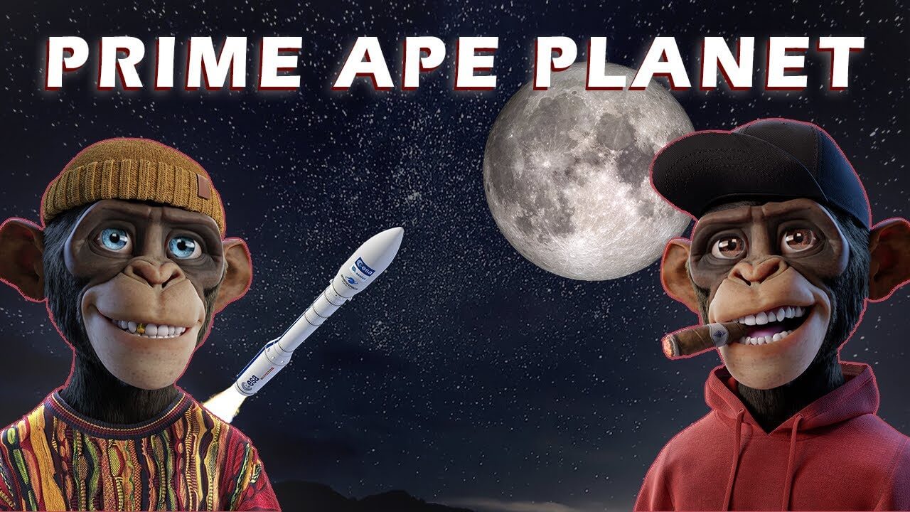 Prime Ape Planet NFT (December 2021) Know The Exciting Details!