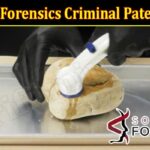 Sorenson Forensics Criminal Paternity Test (December 2021) Know The Complete Details!
