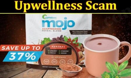 Upwellness Reviews (December 2021) Know The Authentic Details!