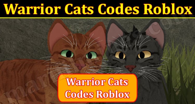 Warrior Cats Roblox Codes (December 2021) Buying & Redeem Process