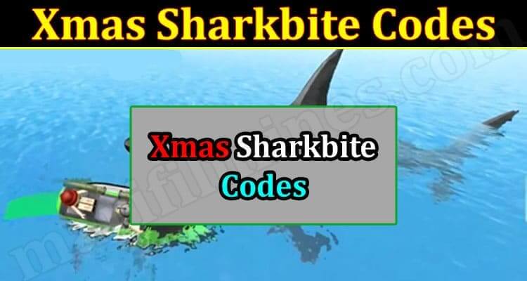 Xmas Sharkbite Codes (December 2021) Know The Complete Details!