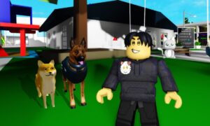 Brookhaven Roblox 2022 (January) Know The Complete Details!