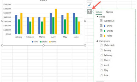 How to Apply & Use Chart Filters in Microsoft Excel for Mac or PC