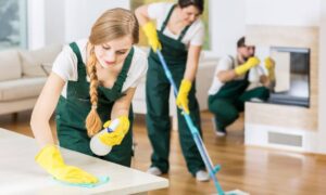 The Top 5 Questions You Should Always Ask a New Cleaner Before You Hire Them