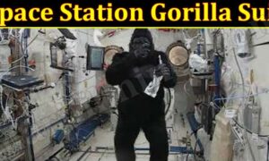 Space Station Gorilla Suit (January 2022) Know The Complete Details!